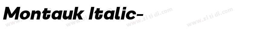Montauk Italic字体转换